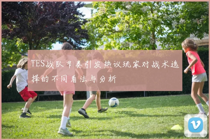 TES战队节奏引发热议玩家对战术选择的不同看法与分析