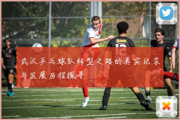 武汉乒乓球队转型之路的真实记录与发展历程探寻
