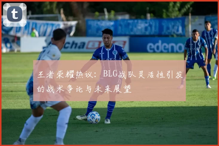 王者荣耀热议：BLG战队灵活性引发的战术争论与未来展望