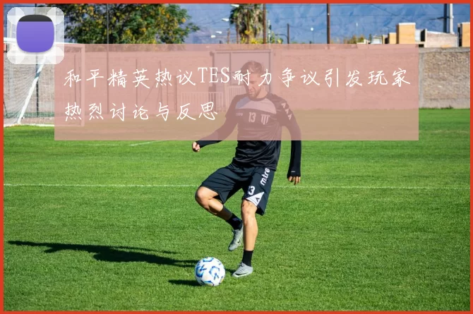 和平精英热议TES耐力争议引发玩家热烈讨论与反思