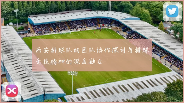西安排球队的团队协作探讨与排球竞技精神的深度融合