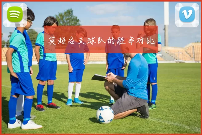 英超各支球队的胜率对比