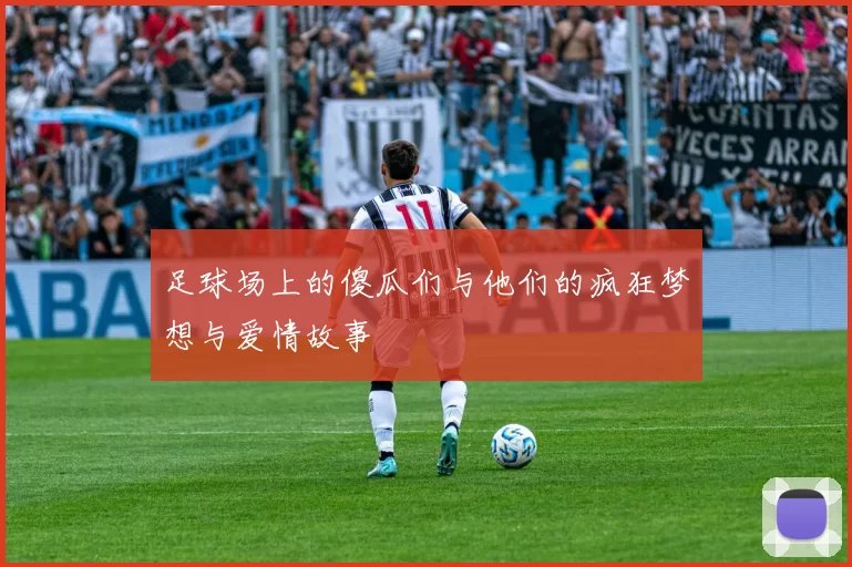 足球场上的傻瓜们与他们的疯狂梦想与爱情故事