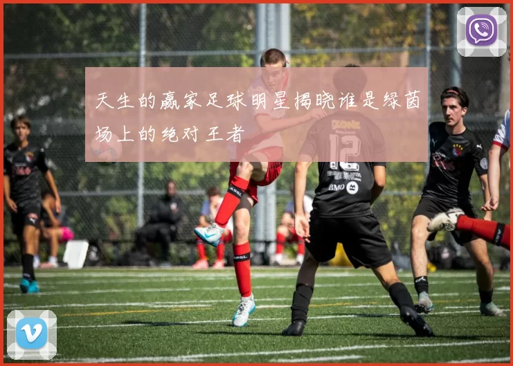 天生的赢家足球明星揭晓谁是绿茵场上的绝对王者